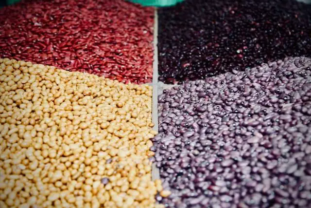 variety of grains and beans