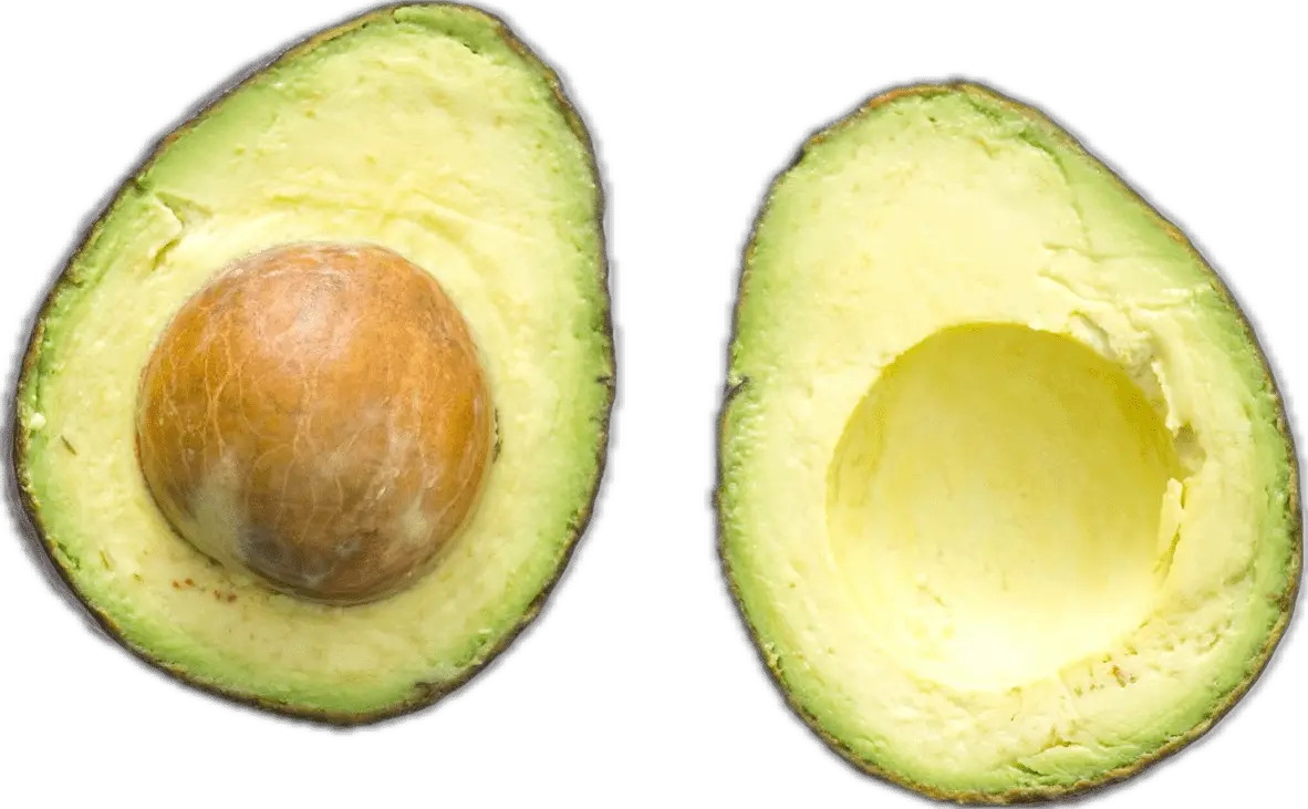 How to Grow Avocado from Seed