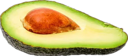 Things to know before growing an Avocado