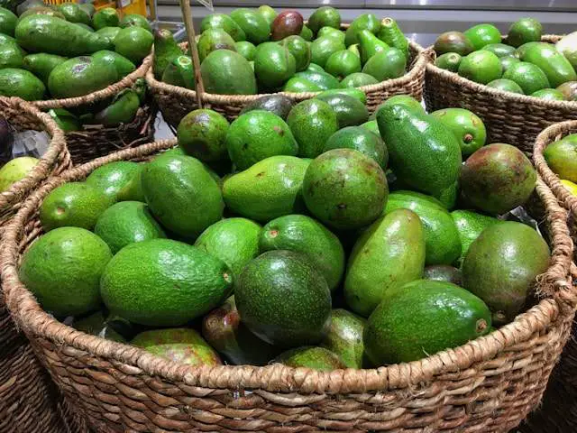 Avocados in baskets